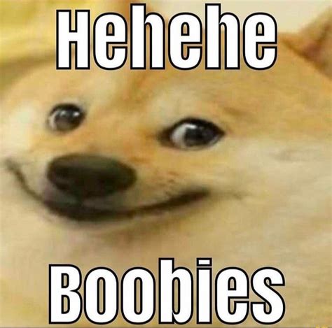 big boobs memes|Heres some boobies for you guys : r/memes